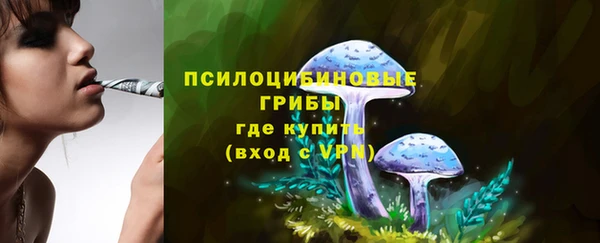 бошки Беломорск